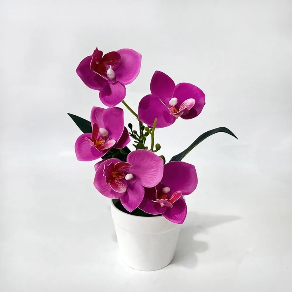 5 Blooms Artificial Orchid Arrangement Realistic Indoor Potted Flower Display White Pot Compact Tabletop Floral Centerpiece