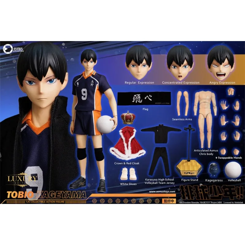 

Spot ASMUS TOYS 1/6 Mobile Doll Collection Model Volleyball Youth Shadow Mountain Feixiong