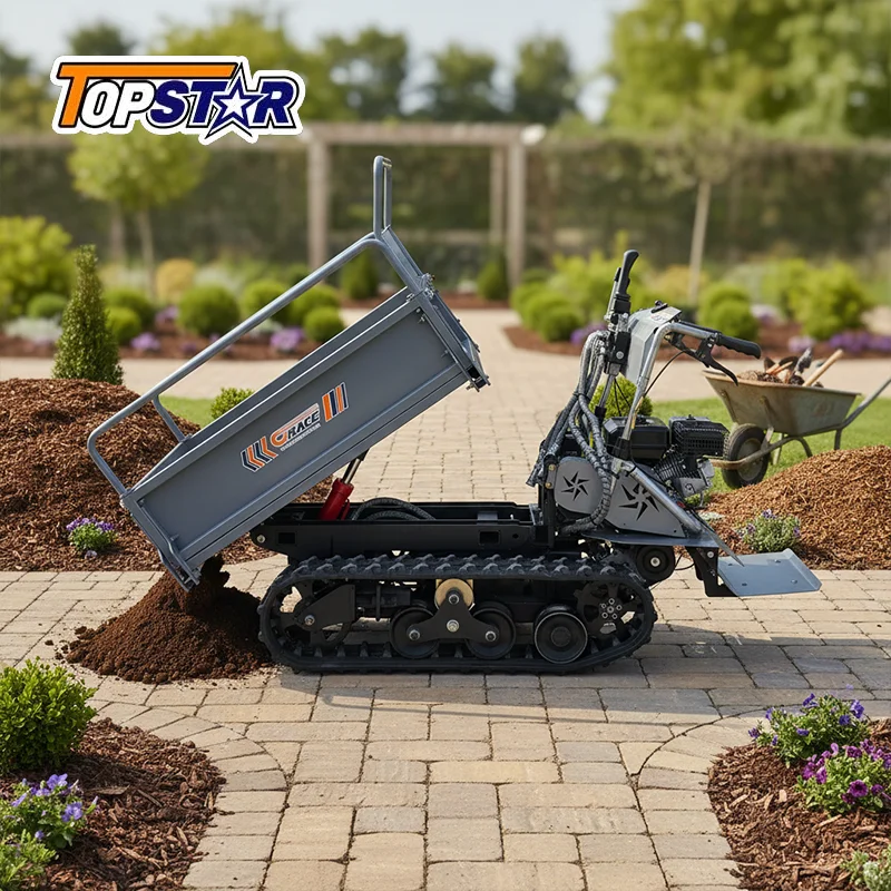 

Fast Delivery Mini Dumper 1000kg Small Crawler Dumper EURO 5 EPA High Quality Factory Direct Sale