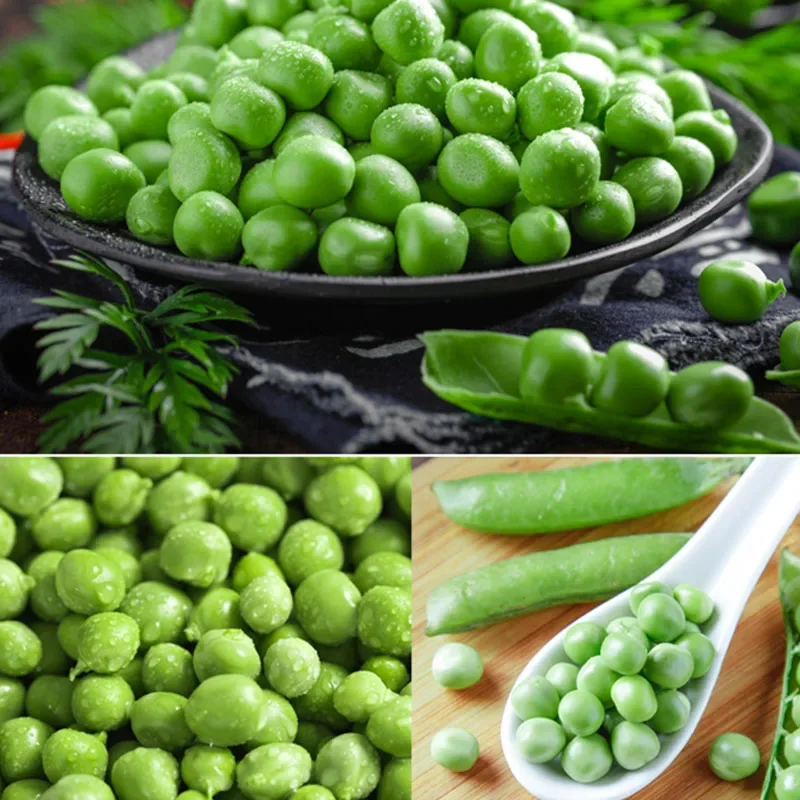 EDAMAME-Machine à Éplucher les Pois Verts, en Acier Inoxydable, Petite Taille