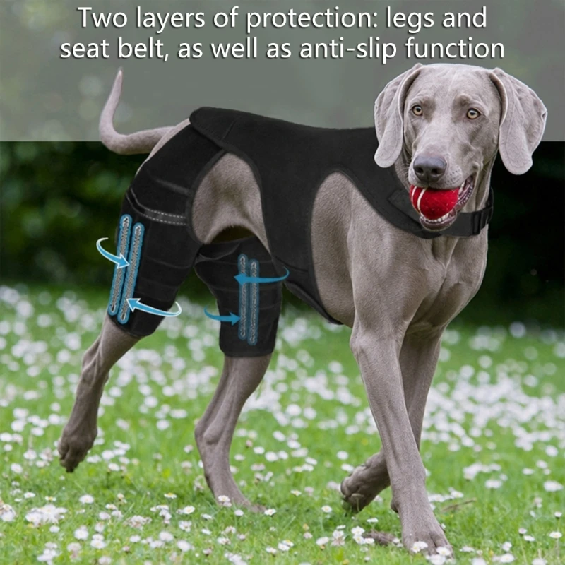 Dog Rear Leg Support Wrap with Upper Panel, Covers Both Rear Legs for Walking, Standing, Quiet Rest, and Routine Use 37JD