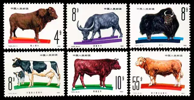 Juego de 6 Sellos Postales de China, Año 1981, T63, Ganadería, Rosa, Flor, Sellos Postales MNH
