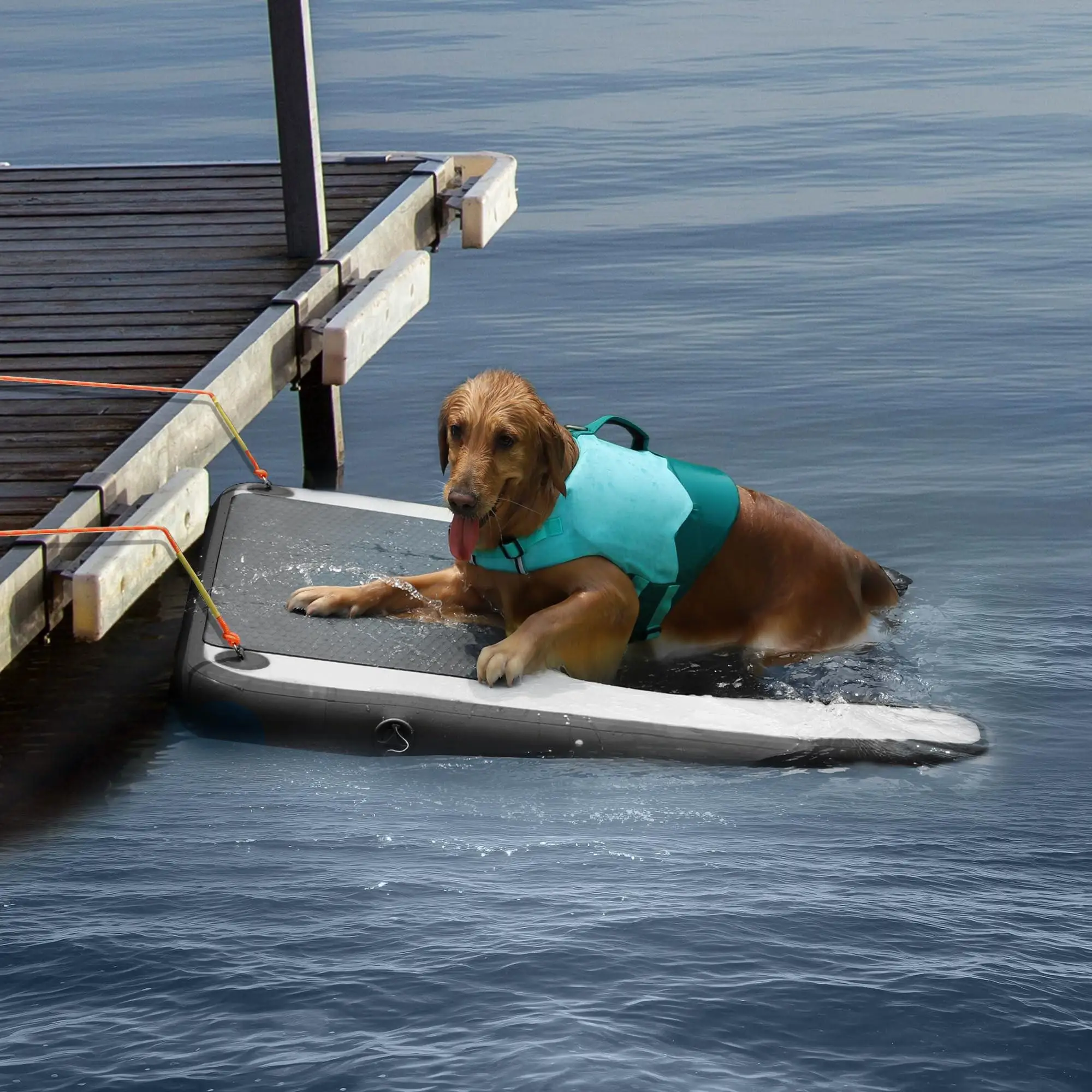 

Customizable Inflatable Dog Boat Ramp Pool Ladder Floating Pet water Climbing Mat