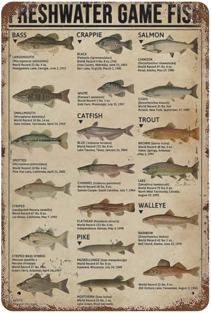 Affiche d'art de pêche, Plaque Métallique, Pêche en Eau Douce, Connaissance des Espèces de Poissons, Plaque en Fer Blanc, Décoration Vintage pour la Maison, le Garage, la Cave d'Homme, le Bar