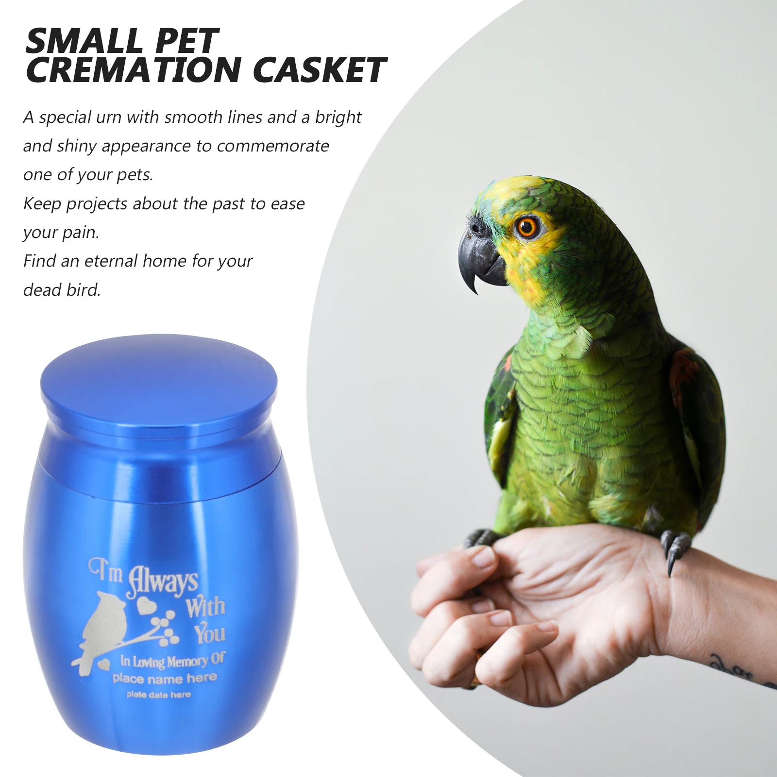 

Parrot Cremation Tank Bird Ashes Urn Stainless Steel Pet Memorial Casket Funeral Keepsake Mini Casket For Cat Dog Animal Vase
