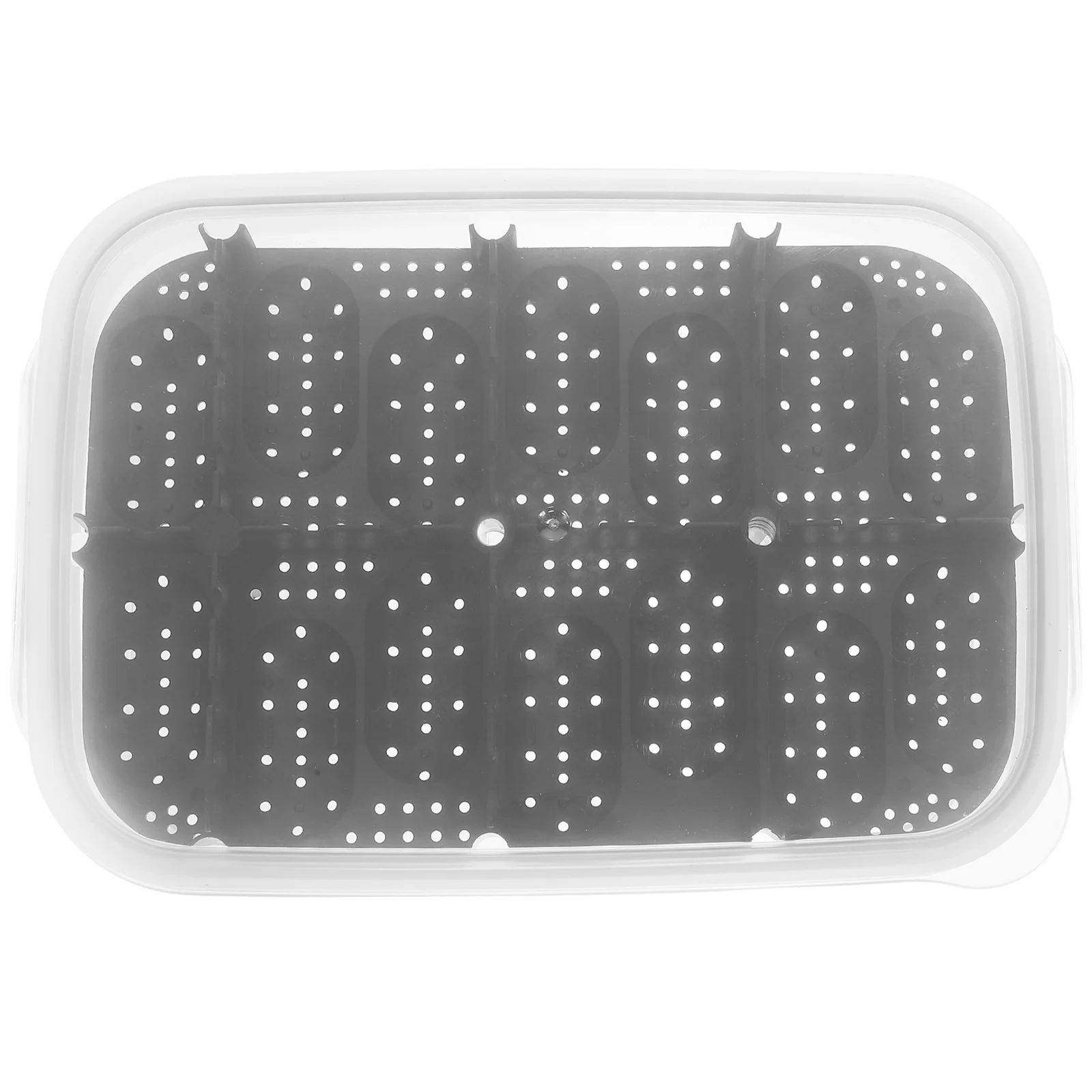 

Crawler Hatching Box Reptile Egg Incubator for Lizard Snake Incubators Aquarium Turtle Eggs Reptiles Gecko Plastic