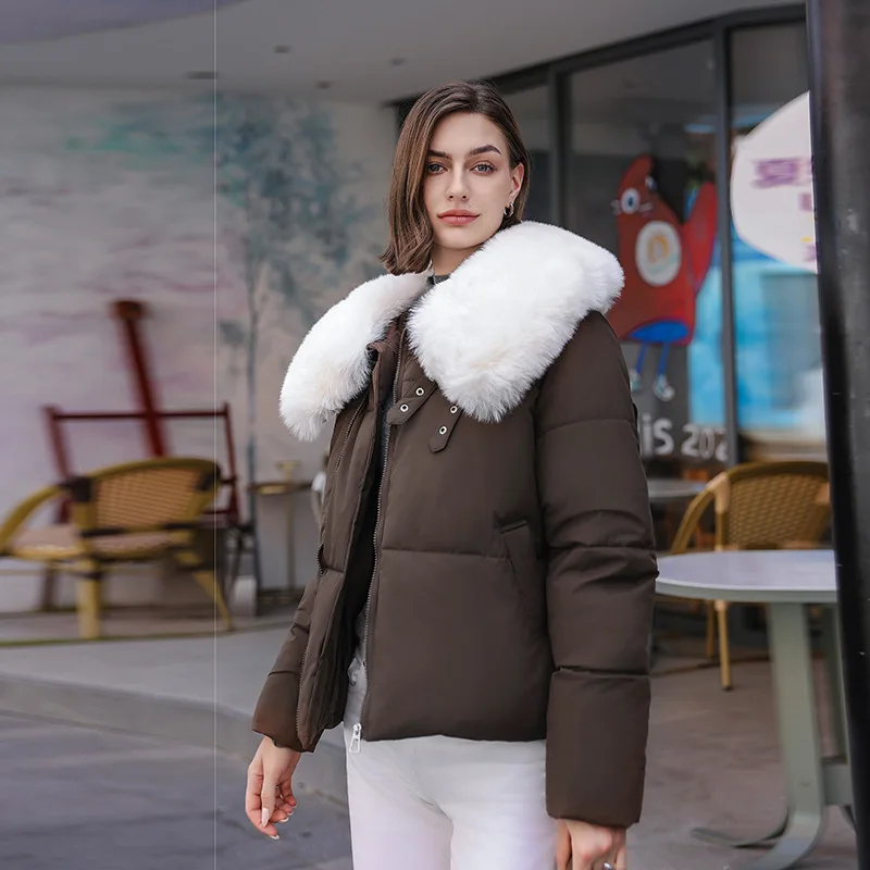 Veste Rembourrée en Coton pour Femme, Manteau à Grand Col en Laine, Optique Courte, Nouvelle Collection Automne et Hiver 2024