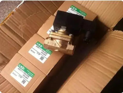 Ckd Pilot Two-Way S…