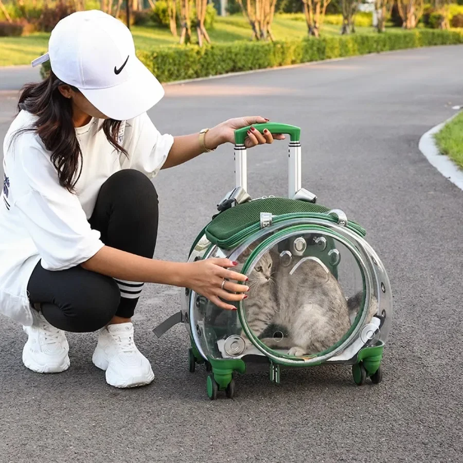 

Traveling Cat Carrier Backpack Designer Case Transparent Cat Carrier Rolling Bag Wheeled Plastic Green Trolley Mochilas Pet Bag