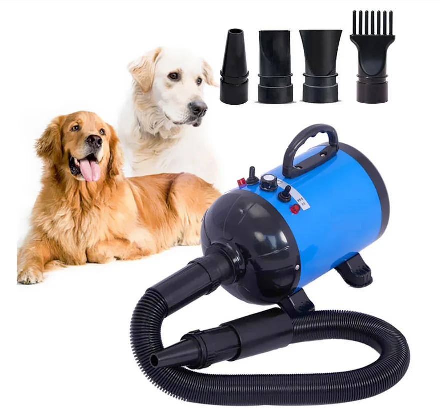 

The Latest Pet Grooming Tool Portable Silent Dog Pet Hair Dryer With Negative Ion Function Hot Sale