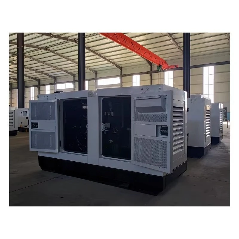 Ricardo Brand 20kw 30kw 50kw 80kw 90kw 100kw 120kw 130kw 150kw 160kw 170kw Silent  Generator and Low Noise
