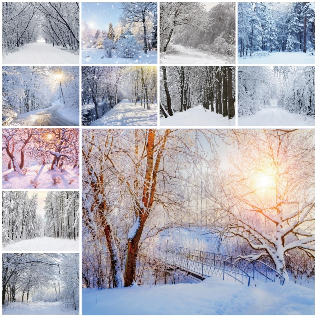 الشتاء الأبيض الغابات عيد الميلاد صور الخلفيات الثلوج ضوء الشمس ديكور الأسرة حزب أطفال الكبار صورة الخلفيات للصور