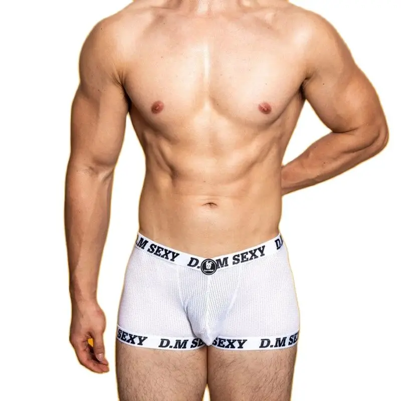 Sexy Underwear Man Boxers Hombre Mesh Breathable Ropa Interior Hombre Solid Low-Rise Boxer Youth Underpants Calzoncillos