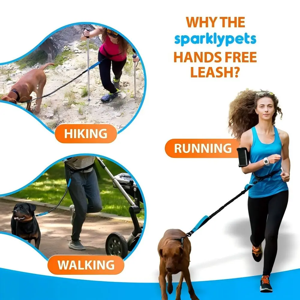 Thumbnail 4 - #42 Reflective Dog Leash Comparison Guide