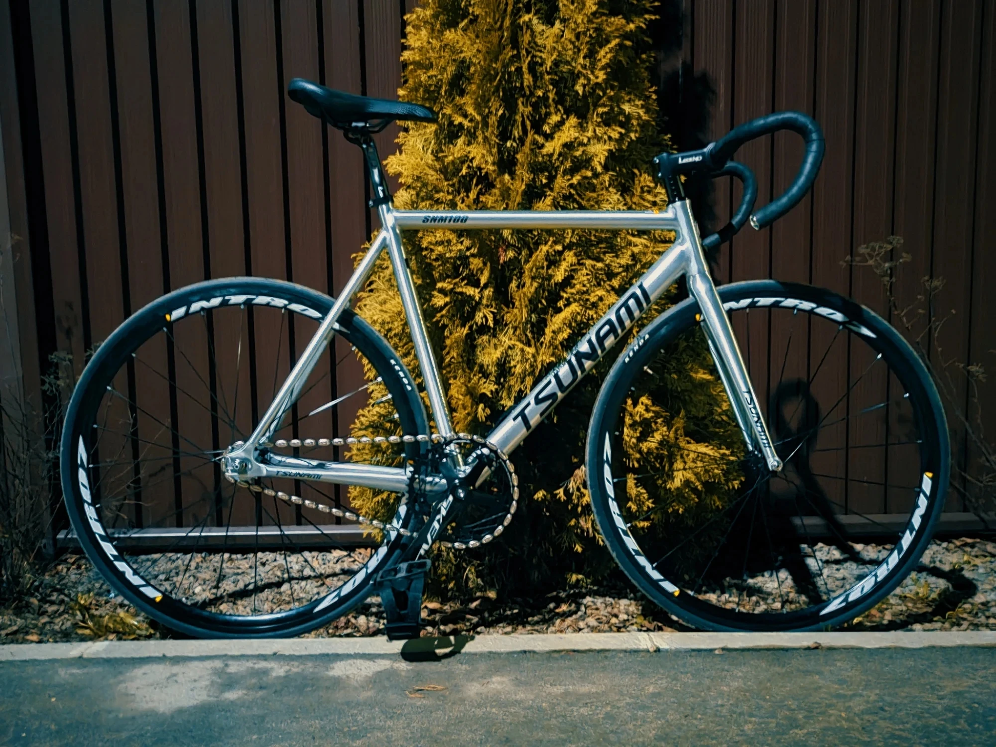 TSUNAMI SNM100 Fixed Gear Bike Aluminum Alloy Frame Single Speed