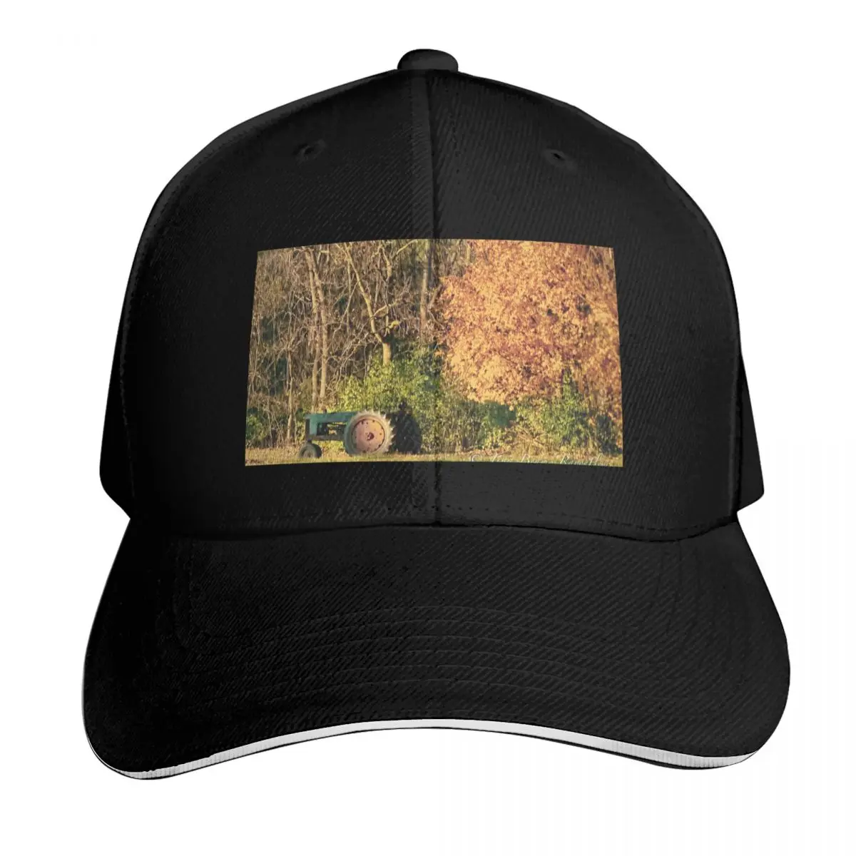 Casquette de baseball Green and Gold Splendor, chapeau amusant, casquette de camionneur, chapeaux amusants, chapeau de luxe pour homme et femme