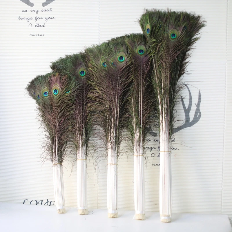 

Peacock Feather 50pcs Bulk 60-130CM Vibrant Blue Green Peacock Feathers for Crafts Wedding Party Halloween Decoration Supplies
