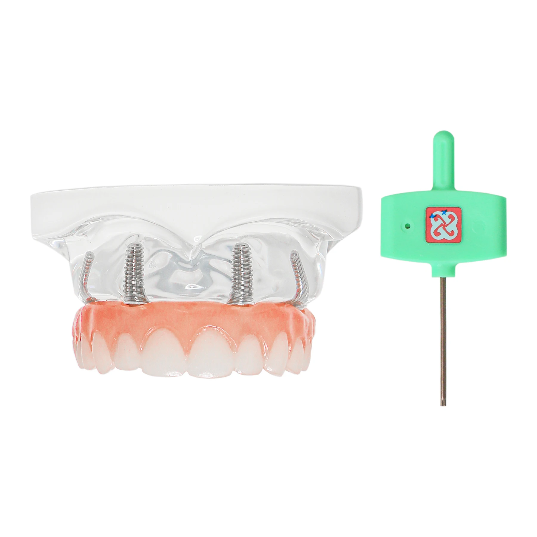 Dental Implant Transparent Restoration Model Upper Jaw 4 Screws with Post Core Bridges M6001-1