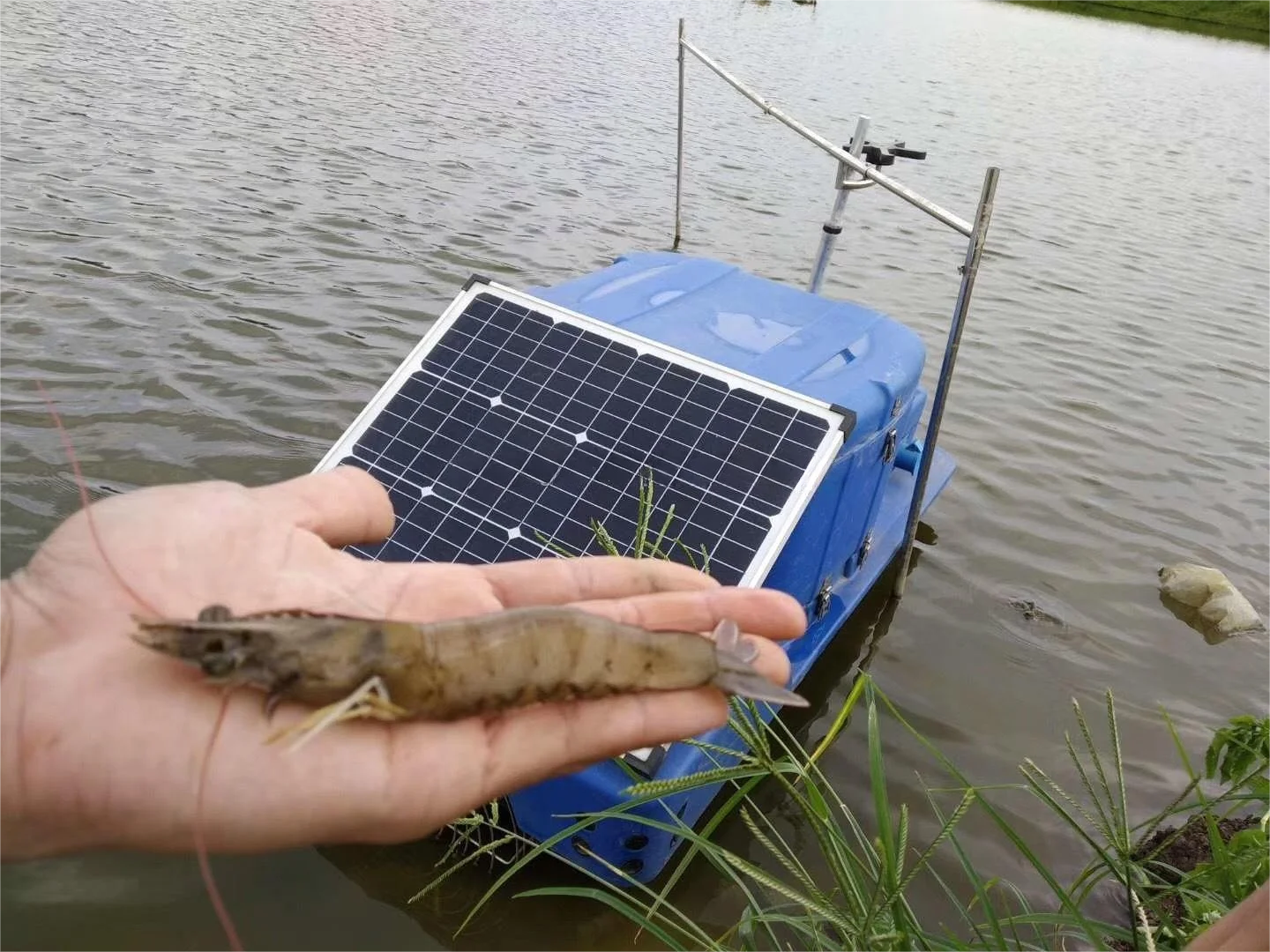 

Shrimp Pond Intelligent Feeding Machine Unmanned Ship Automatic Timed Feeding Feed Feeder Shrimp Feeder Feeding Feeder