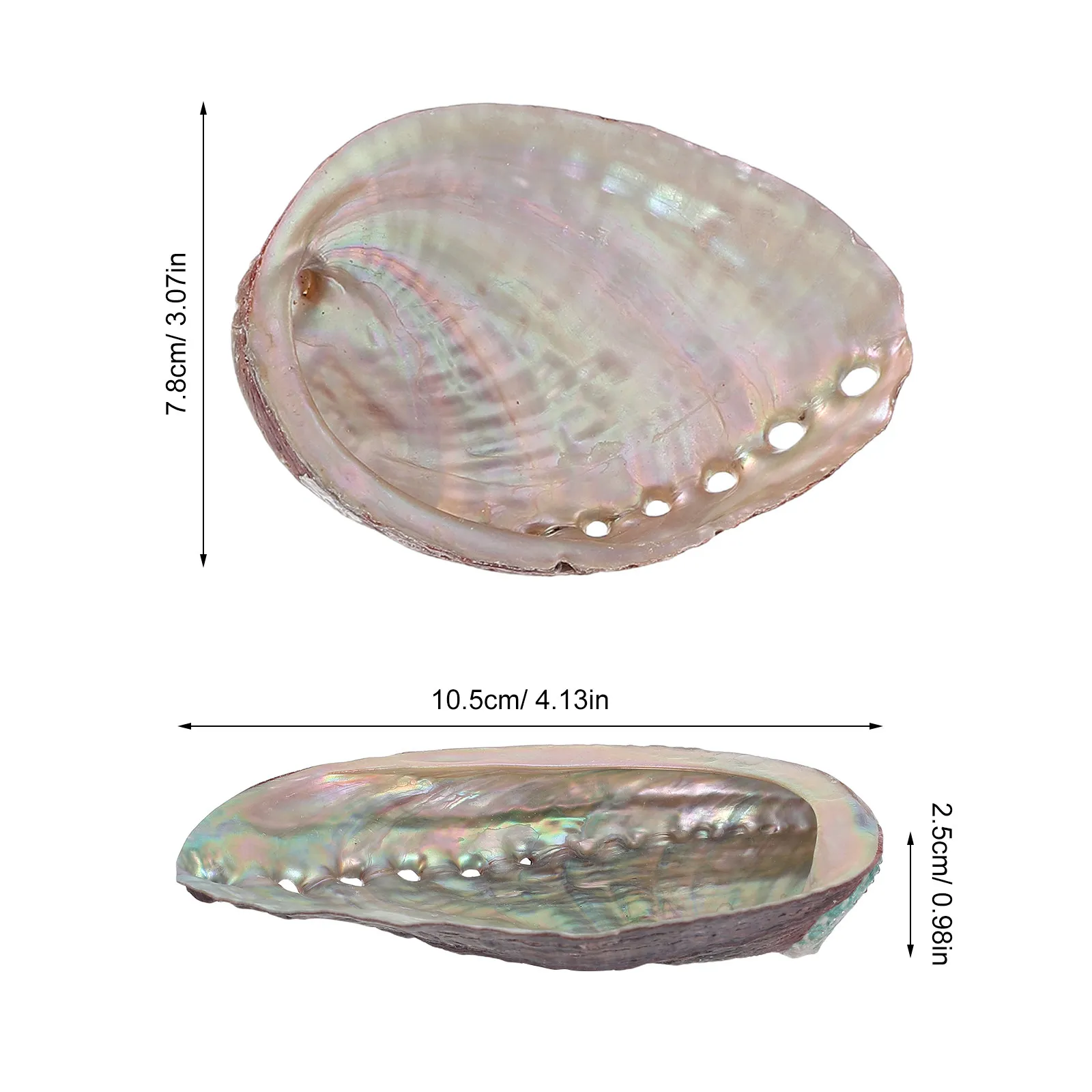 3Pcs Abalone Shell Bowl Large Natural Seashell Smudge Dish for Sage Burning Meditation Altar Decor Ritual Storage Tray Incense
