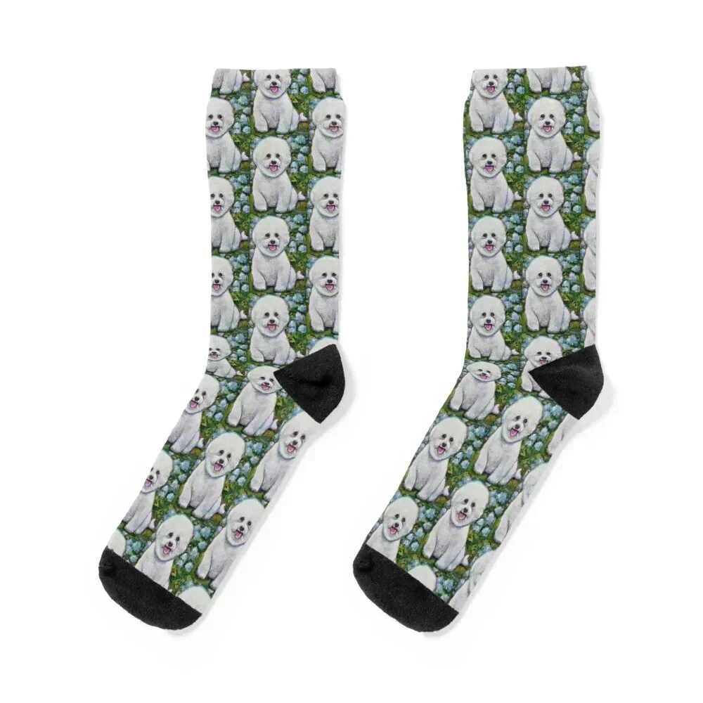 

Bichon Frise in the Garden Painting by Robert Phelps Socks christmas gifts colored Stockings Socks For Girls Men's
