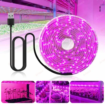 LED ışık büyümek tam spektrum 5V USB büyümek ışık şeridi 2835 LED fito lambalar bitkiler için topraksız sera büyüyen lamba 1M 2M 3M