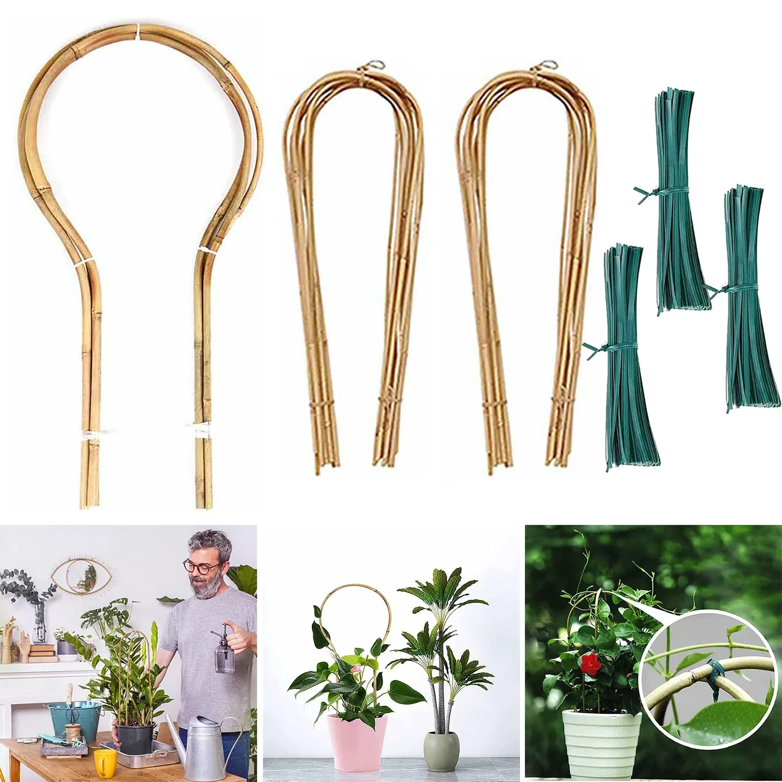 Jasmine Garden Small Plants Bamboo Hoop Trellis Tie Rope 400/600/480g Bamboo Bamboo Hoop Trellis Indoor Plants