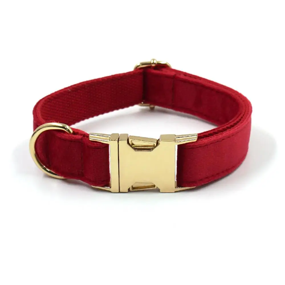 Personalisiertes Hundehalsband aus weichem Samt in mehreren Farben, individuelle kostenlose Gravur, Welpen-Haustierhalsband, passende Leine erhältlich – Detail 5