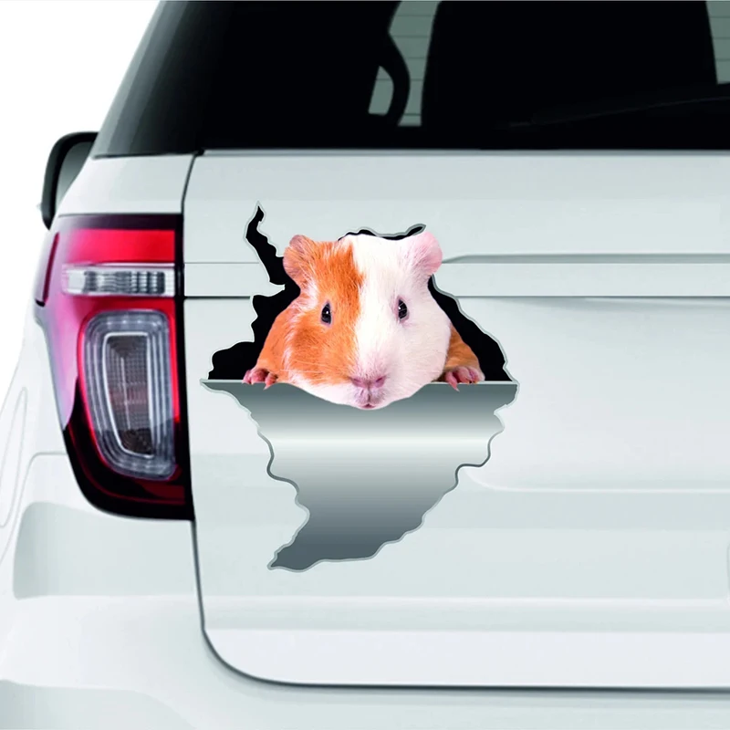 V1092# Car Sticker Hamsters Animal Waterproof Vinyl Decal Car Accessories Decor Pegatinas Para Coche