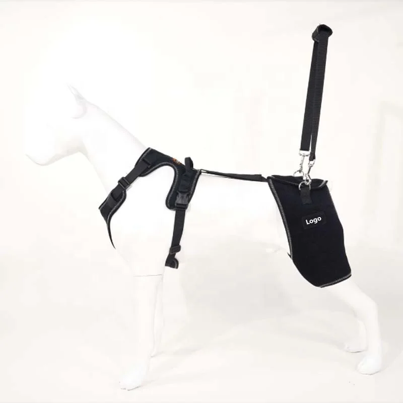 

Dog Support Brace for Dysplasia Pain- Dog Brace for Relieve Pain