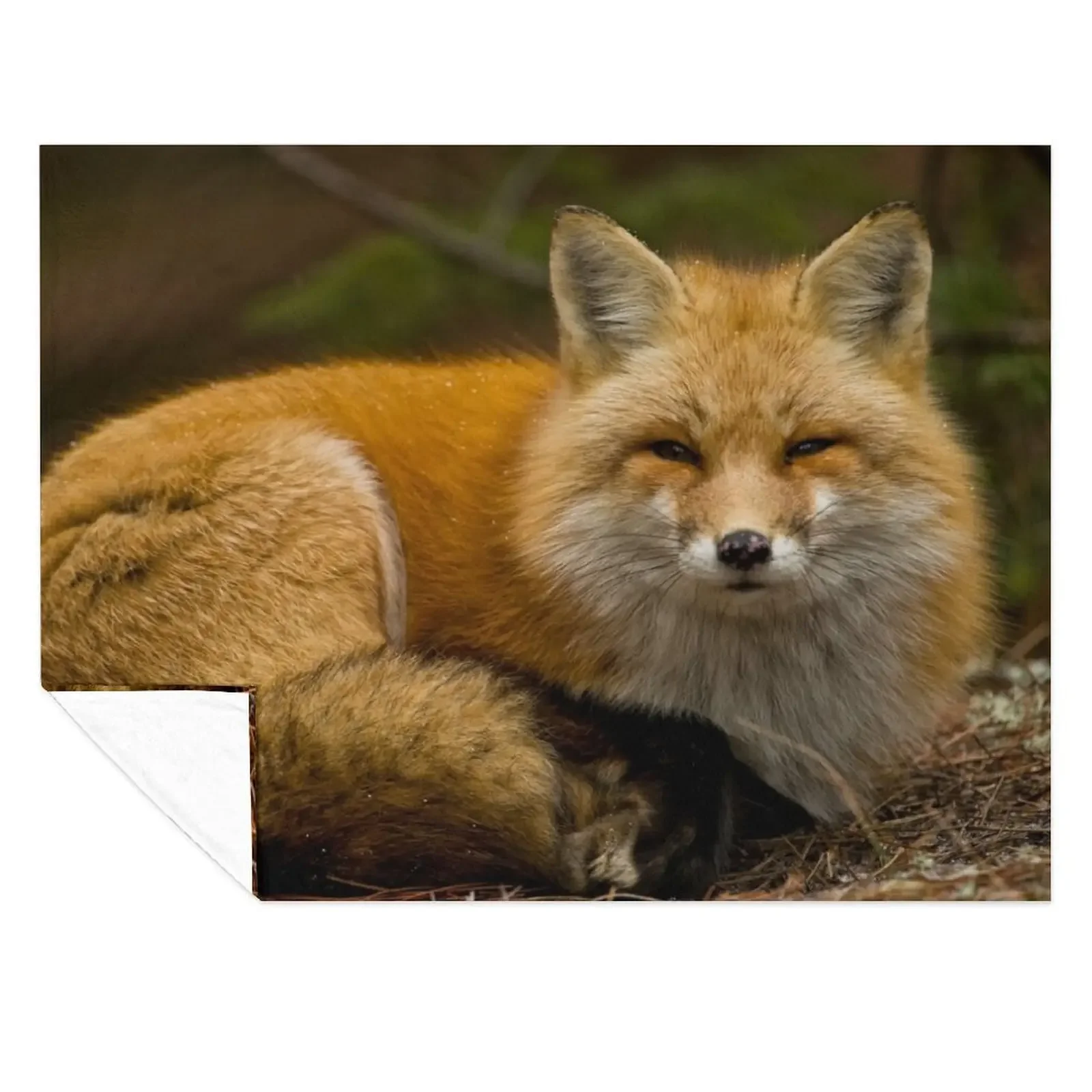 

Red Fox Throw Blanket Furrys Hairy Soft Plush Plaid wednesday Blankets