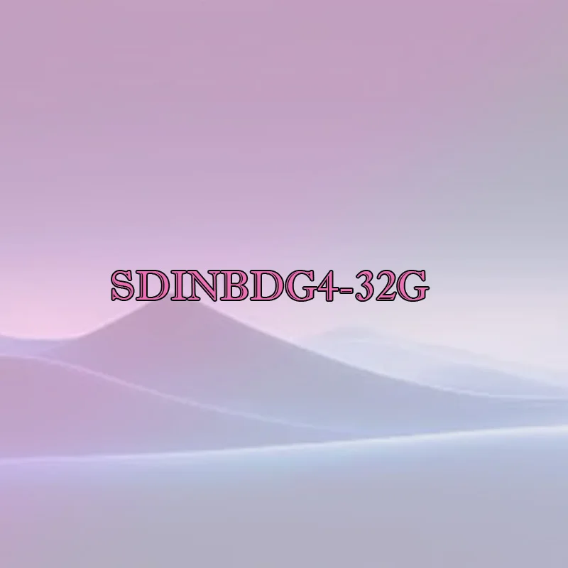 SDINBDG4-32G Version 5.1 32GB    Black plastic hard case