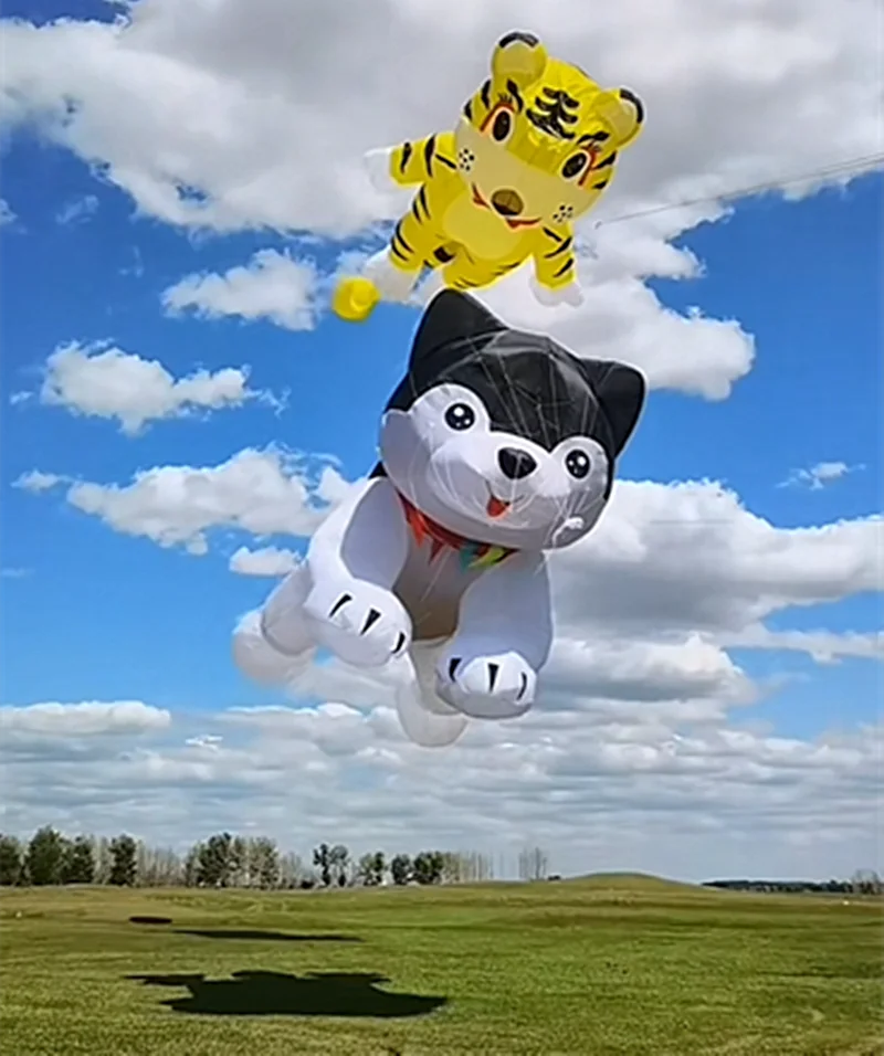 Hundedrachen, riesige Drachen, fliegende aufblasbare Spielzeuge, Anhänger, Elektroschocker, Drachen, Neuheit, Spiele im Freien, Kinderspaß, Cerf Volant Koi