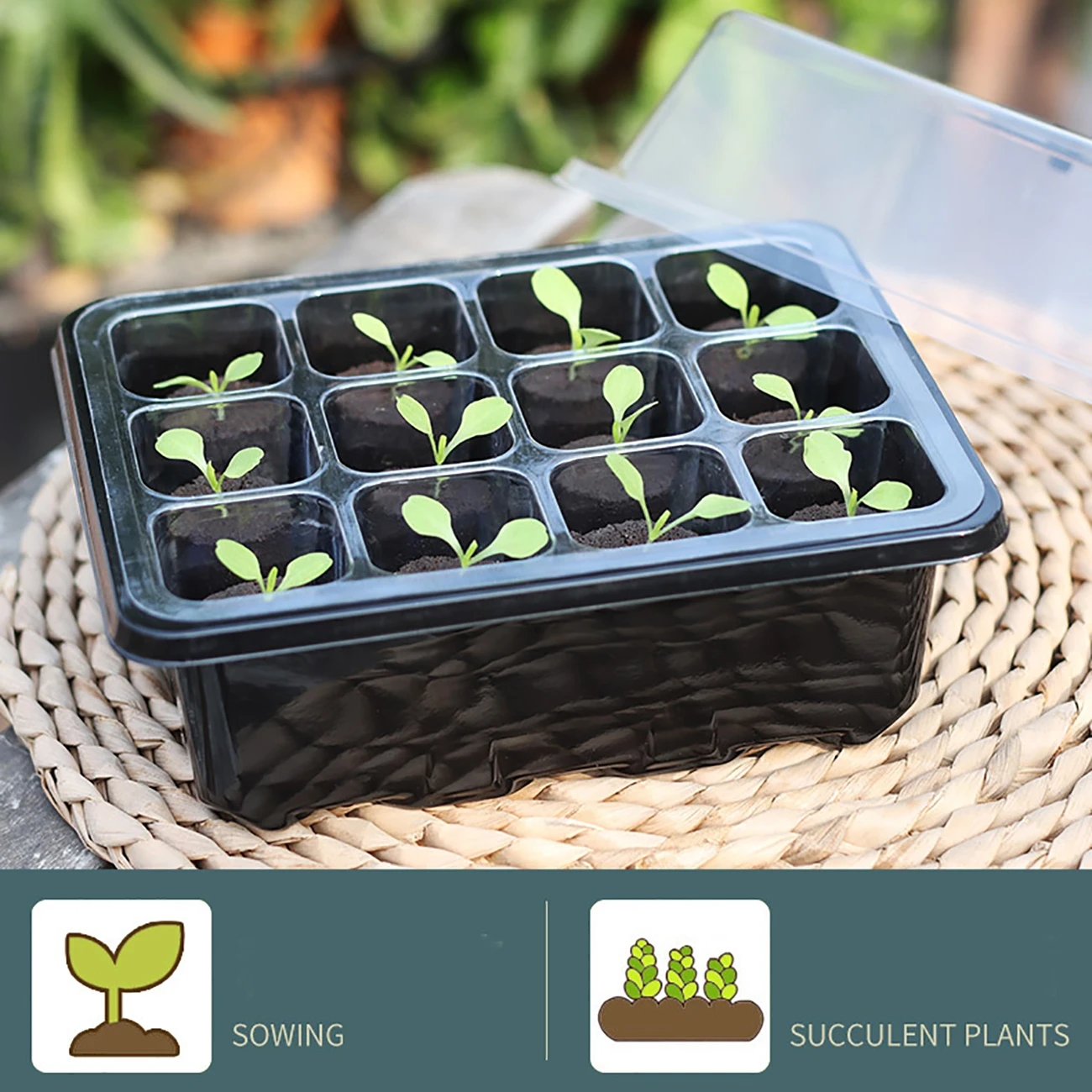 

5pcs Plastic Seedling Starter Tray Kit Seedling Trays Starter with Dome and Light Greenhouse Growing Trays