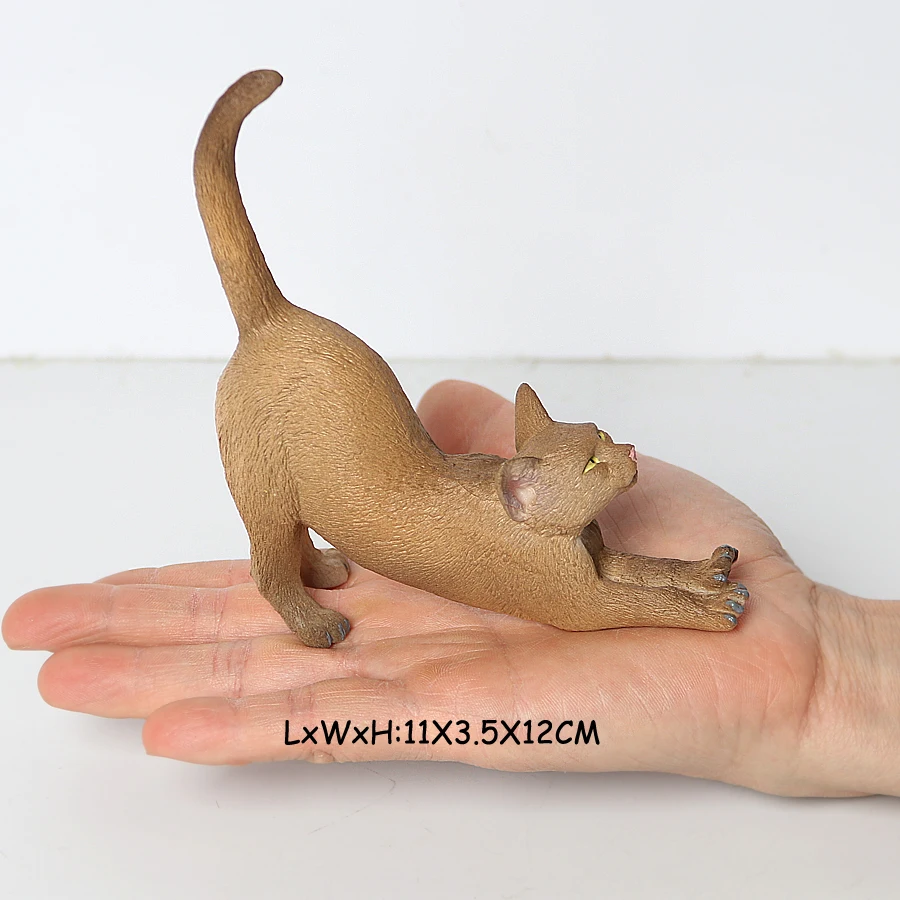 Cat -22