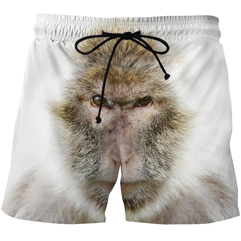 Funny Gorilla Monkey 3d Print Men Short Pants Cool Animal Graphics Summer Swimming Trunks Sports Quick Dry Surf Board Shorts