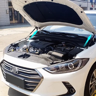 

2PCS Gas Struts For Hyundai Elantra Avante AD 2015-2021 Front Hood Bonnet Modify Lift Support Damper Shock Absorber Prop Rods