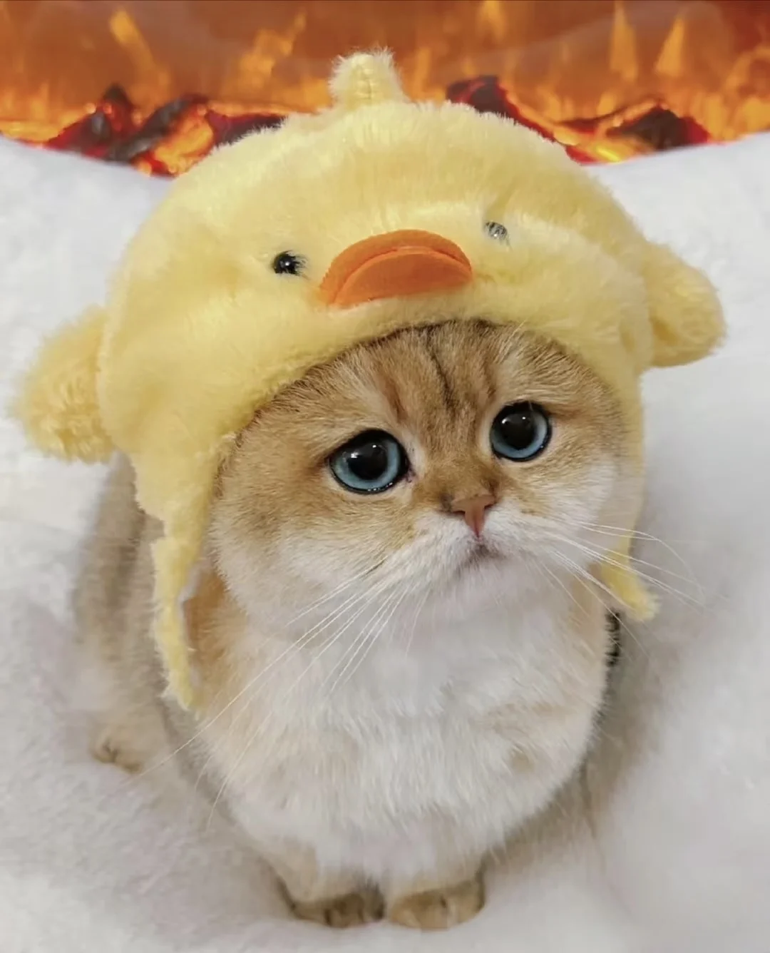 Cute Plush Pet Hat for Cats and Small Dogs, Cartoon Lion Pig Duck Shaped Pet Costume Headwear, Adjustable Funny Cap for Kittens