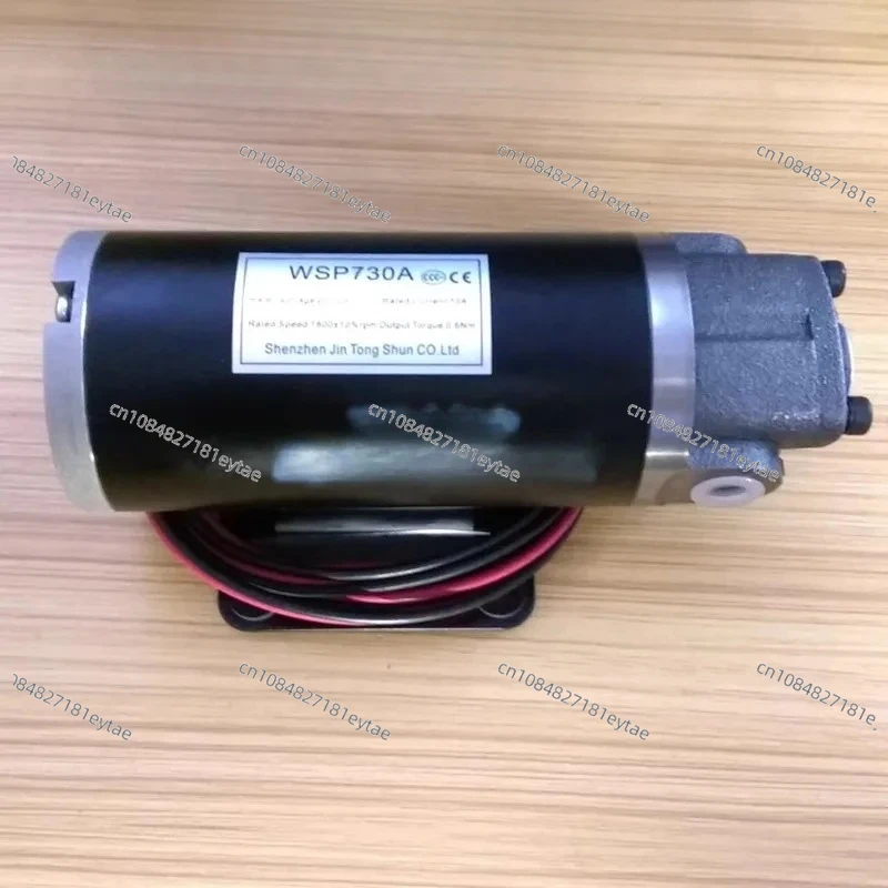 ROP-12AM DC motor DC12V motor TOP lubricating oil pump WSP730A triangular cycloidal rotor pump 220