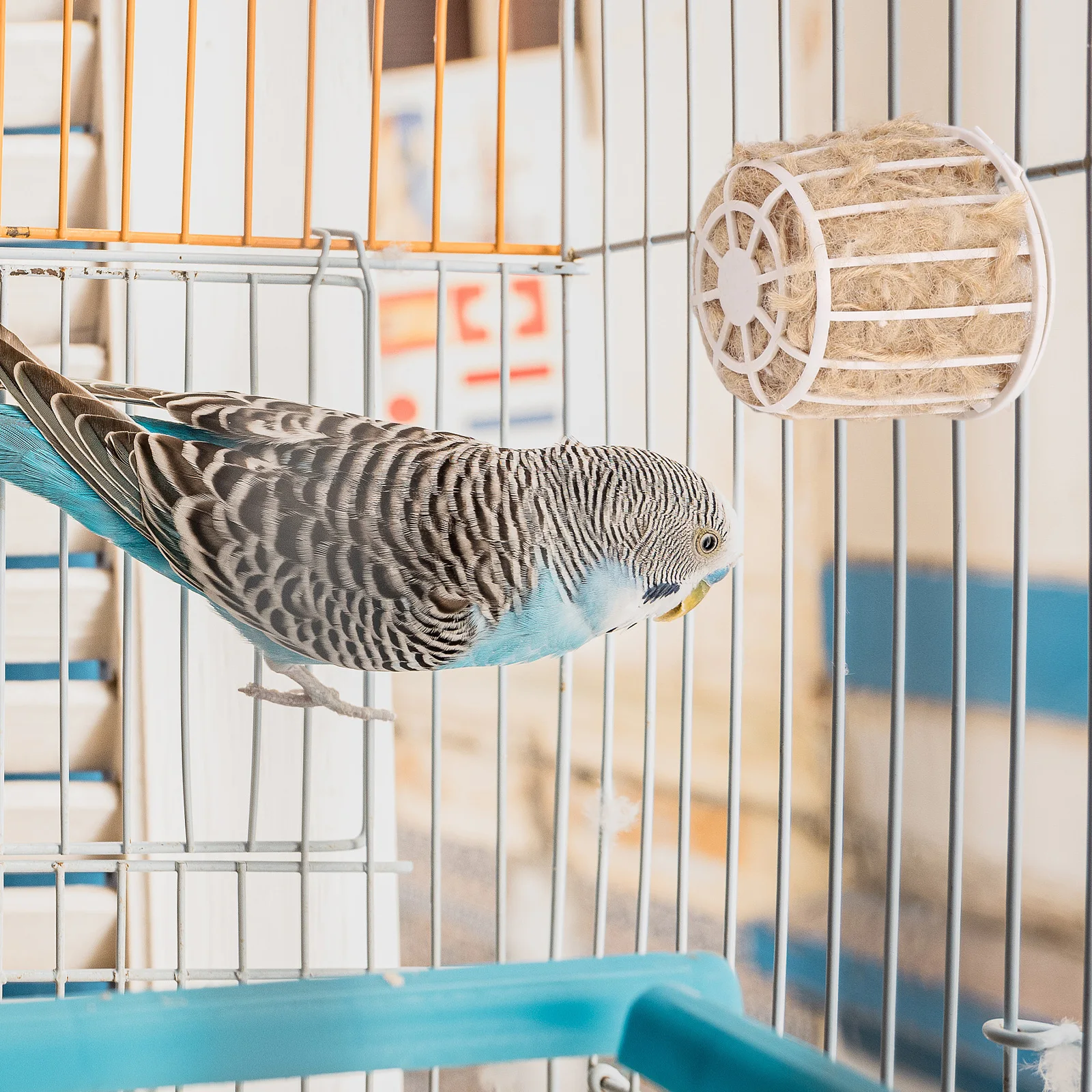 Thumbnail 2 - #42 Best Bird Supplies to Buy In 2026