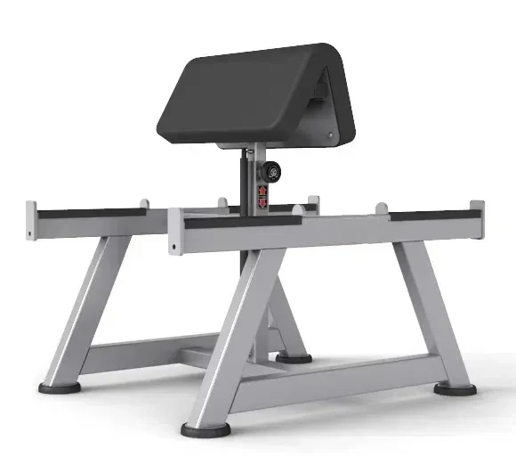 Commercial Gym Machine Plate Loaded Preacher Curl Bench for Strength Training Bicep Exercise Equipment Back Fitness Training
