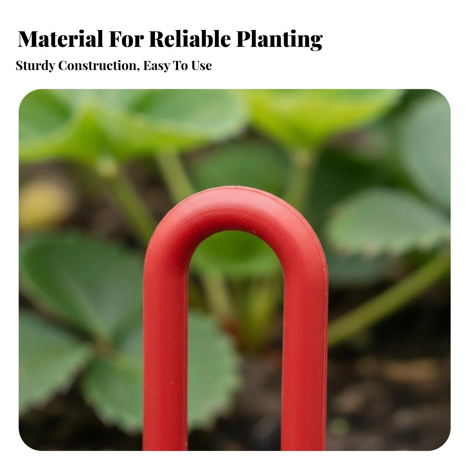 Strawberry Vine Fork Secure Hold Strawberry Support Fork Easy to Use Vine Pressing Holder for Home Gardeners, Farmers, Farm,