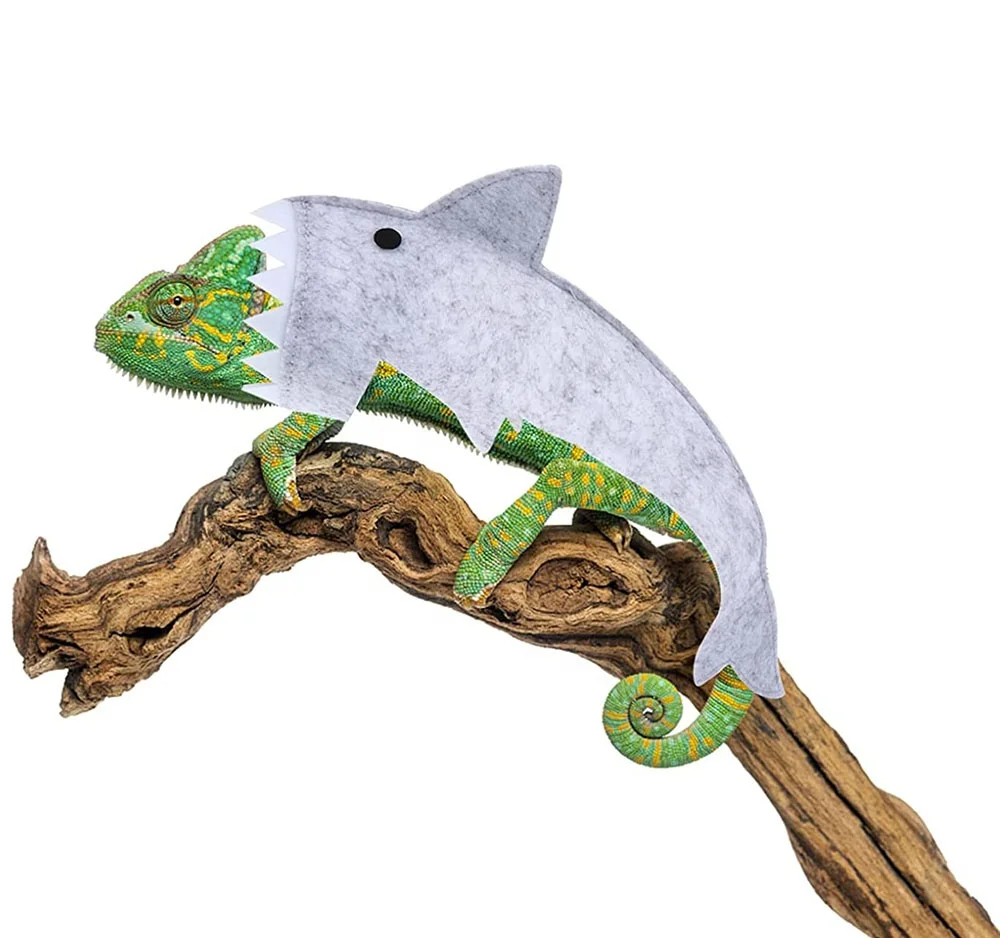 Lizard Reptile Shark Costume in One Package Handmade Felt Bearded Dragon Harness for Chameleon Gecko Iguana Amphibians