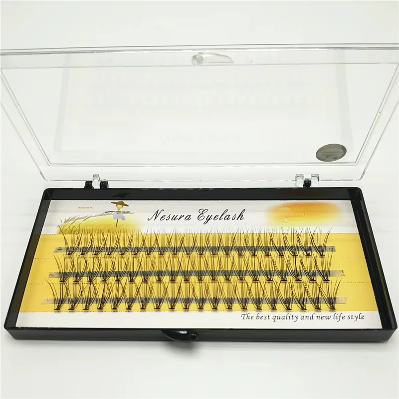 10D Nerz Wimpernverlängerung 1 Box/60 Bündel Natürliche Wimpern 3D Russische Einzelne Wimpern Cluster Make-Up-Tool Wimpern Großhandel