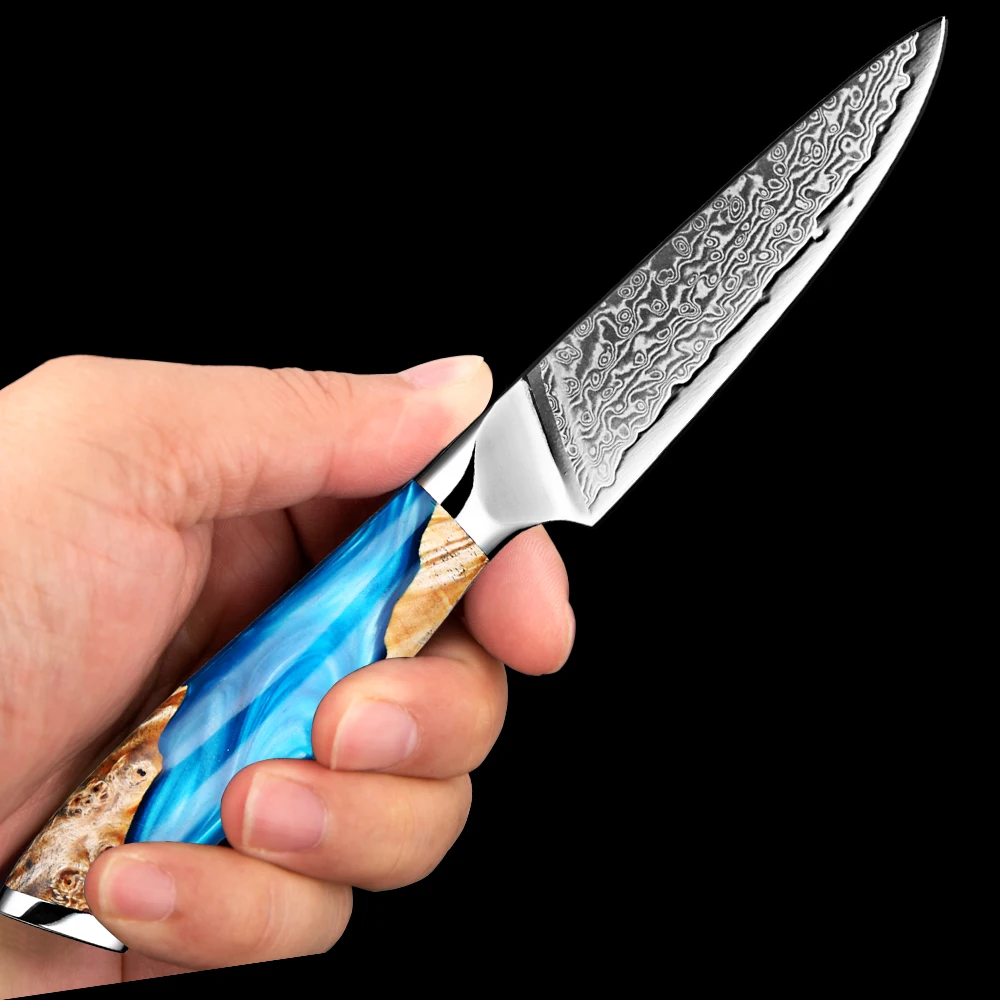 Cuchillo de pelar de acero de Damasco, navaja pequeña de cocina de 3,5 pulgadas, cuchillo afilado para fruta, VG10, 67 capas, mango ergonómico de