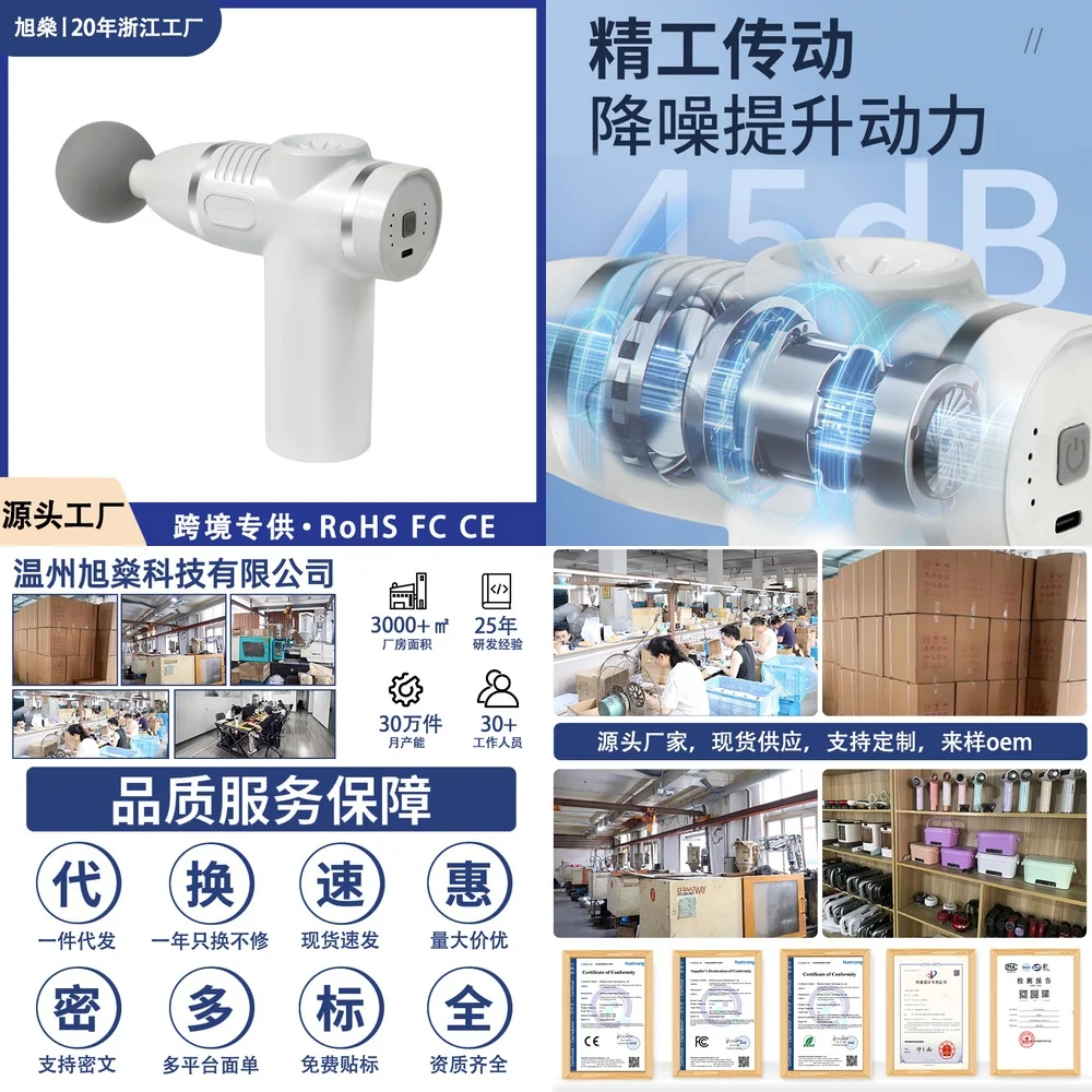 

Mini Muscle Massage for Recovery Relaxation Deep Tissue Therapy Percussion Massager with 12 Attachments for Fitness