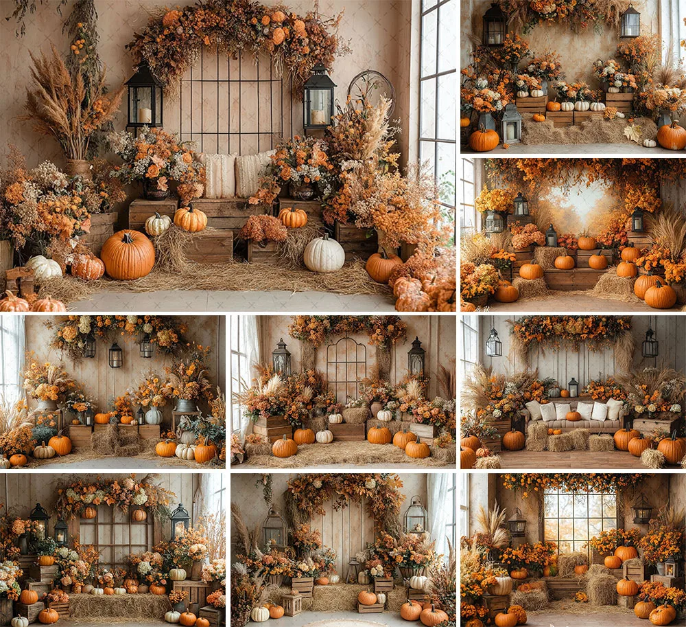 Mehofond Photograph…