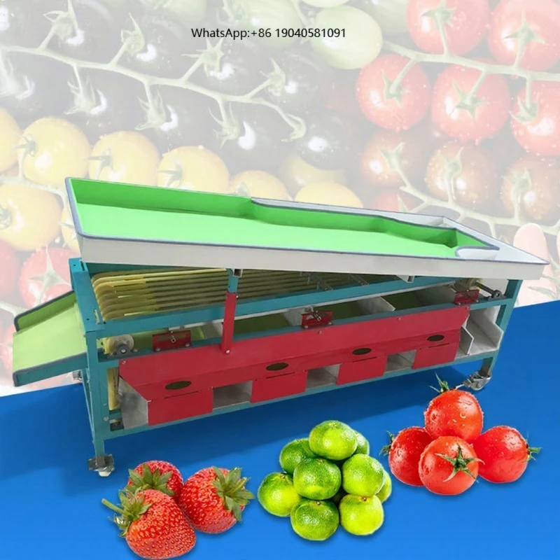 Automatic Mango Blueberry Red Date Sorter Onion Garlic Potato Size Sort and Grade Machine