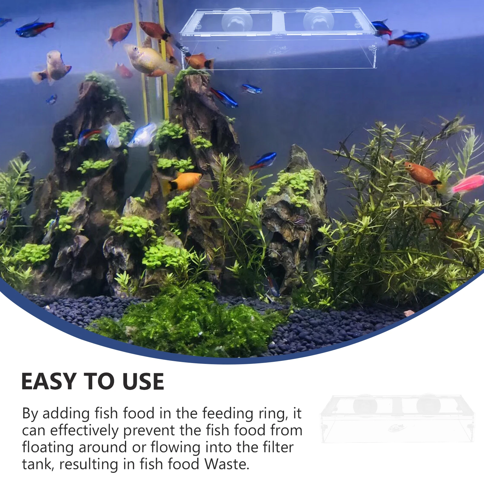 

Acrylic Ring Aquarium Transparent Tank Tool For Freshwater Food Container Suction Cup Feeding Circle Fish Feeding Supply Fish