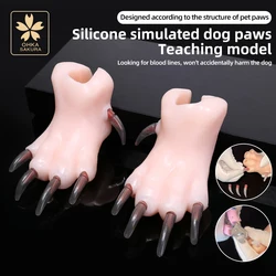 Silicone simulation dog paw teaching model, pet beauty school teaching, junior pet beauticians practicing cutting dog nails